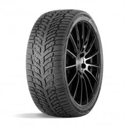 Doublestar Winterking DW08 175/70R13 82T